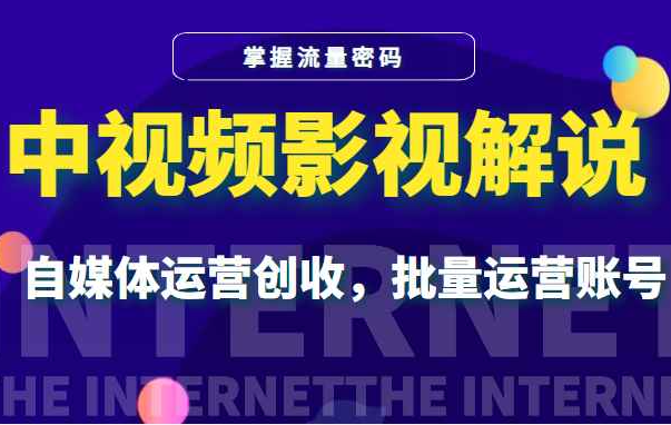 中视频影视解说—掌握流量密码，自媒体运营创收，批量运营账号