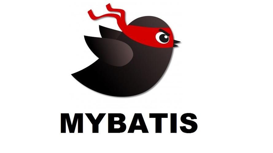 mybatis-plus异常：dynamic-datasource can not find primary datasource