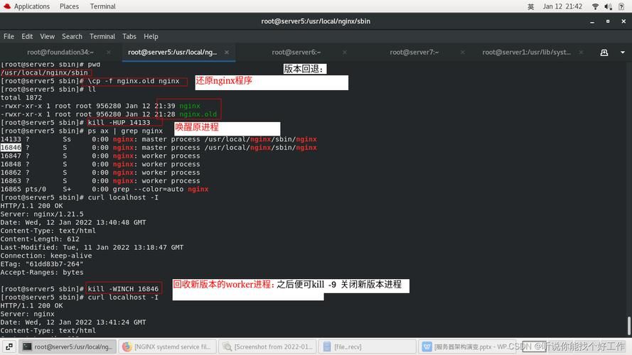 网络&信息安全：nginx漏洞收集（升级至最新版本）