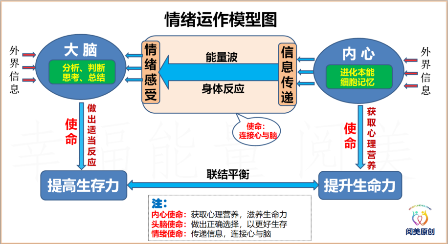 如何做好互联网用户运营