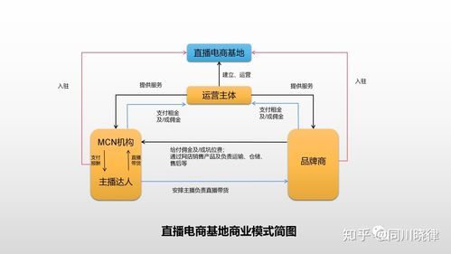 立足本村产业特色,谈谈如何发展农村直播电商事业